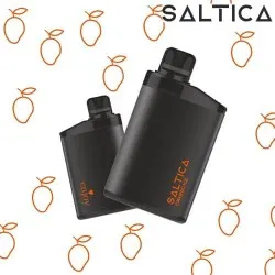 Saltica ENJOY 10000 Puff Saltica ENJOY 10000 Puff