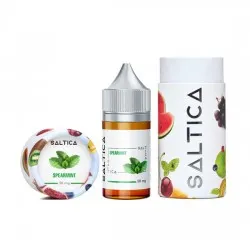 Saltica Spearmint Salt Likit 30ML Saltica Spearmint Salt Likit 30ML