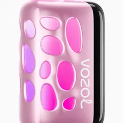 Vozol Rave 40000 Puff